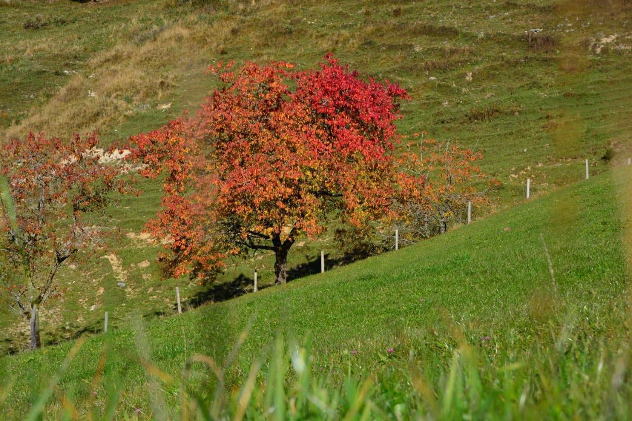 Bergapart Goetschl Rettenschoess Bagian luar foto