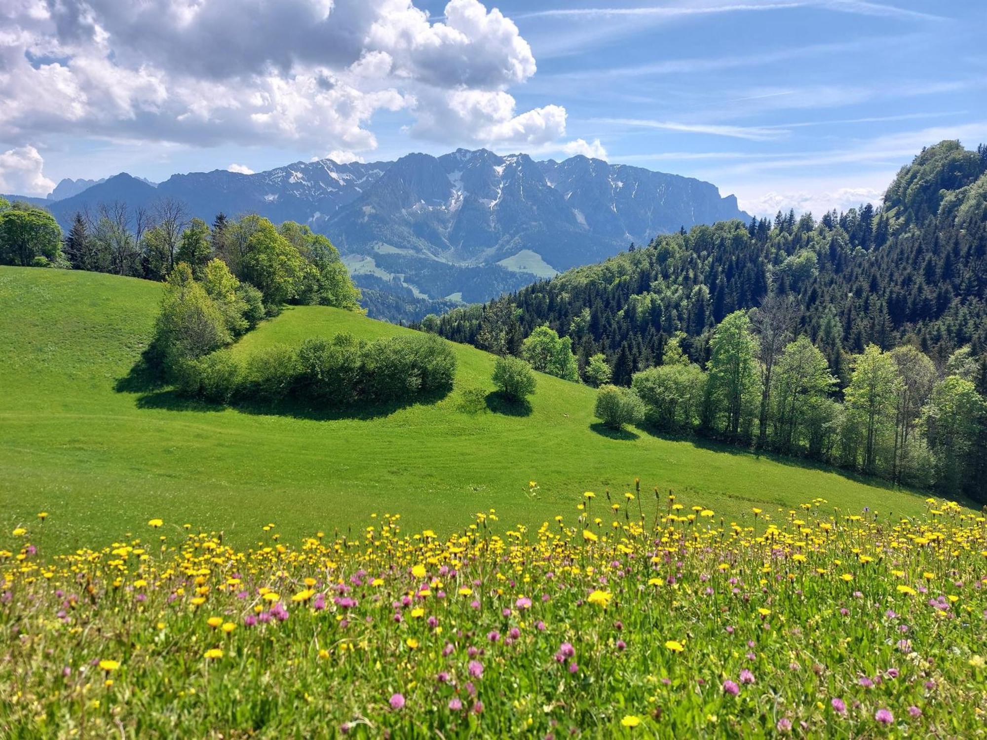 Bergapart Goetschl Rettenschoess Bagian luar foto